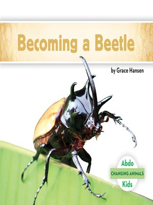 cover image of Becoming a Beetle